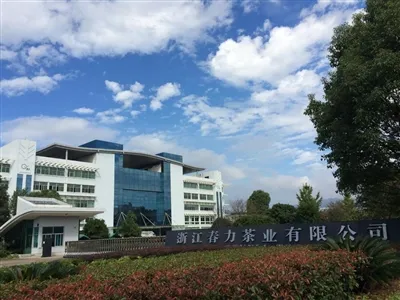 How Gunpowder Green Tea is Made